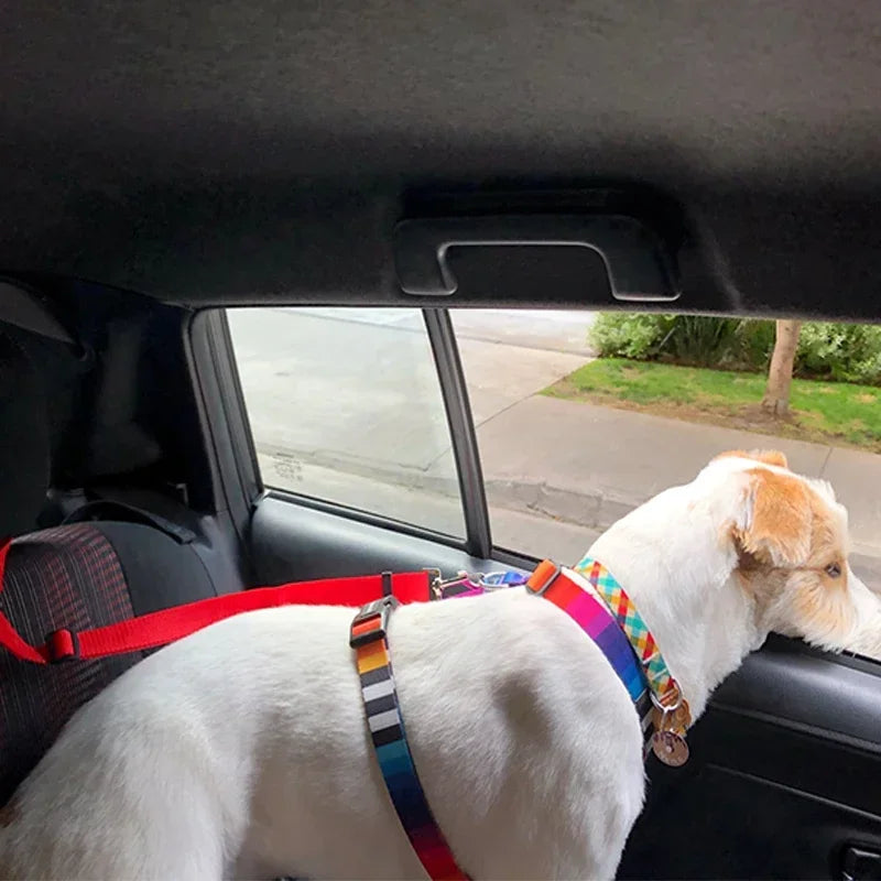 Pet Car Seat Belt - Adjustable Safety Harness for Dogs & Cats